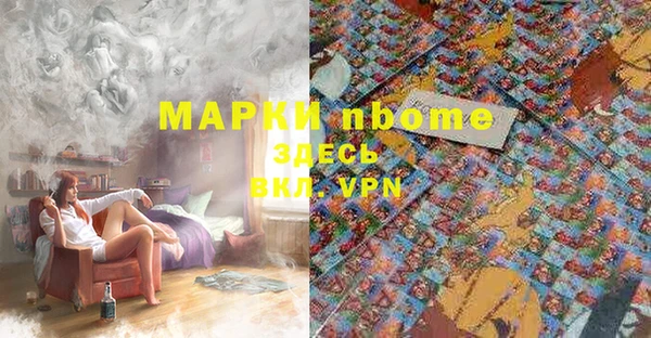 сатива Абинск