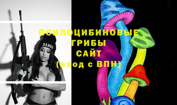 сатива Абинск