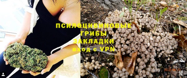 сатива Абинск