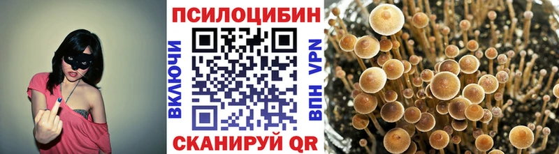 Псилоцибиновые грибы Psilocybe  даркнет сайт  Тетюши 