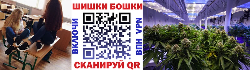 как найти наркотики  Тетюши  Шишки марихуана SATIVA & INDICA 